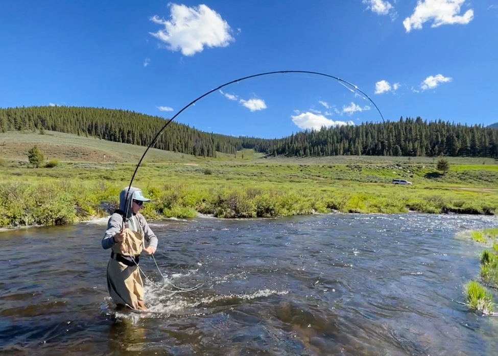 kid fly fishing willow creek near taylor park in colorado