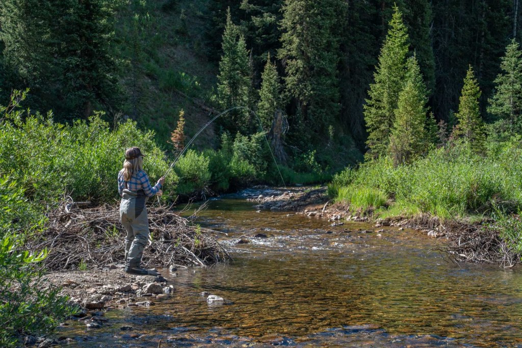 Woman fly fishing Coal Creek Crested Buttel