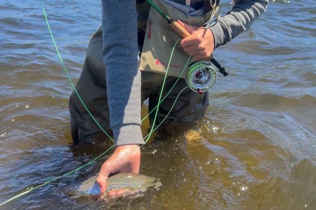 kid holding rainbow trout caught with mop fly