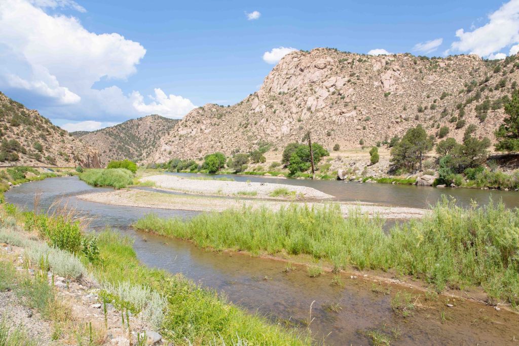 Arkansas River Bighorn Sheep Canyon