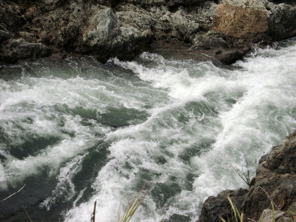 river, nature, whitewater rapids