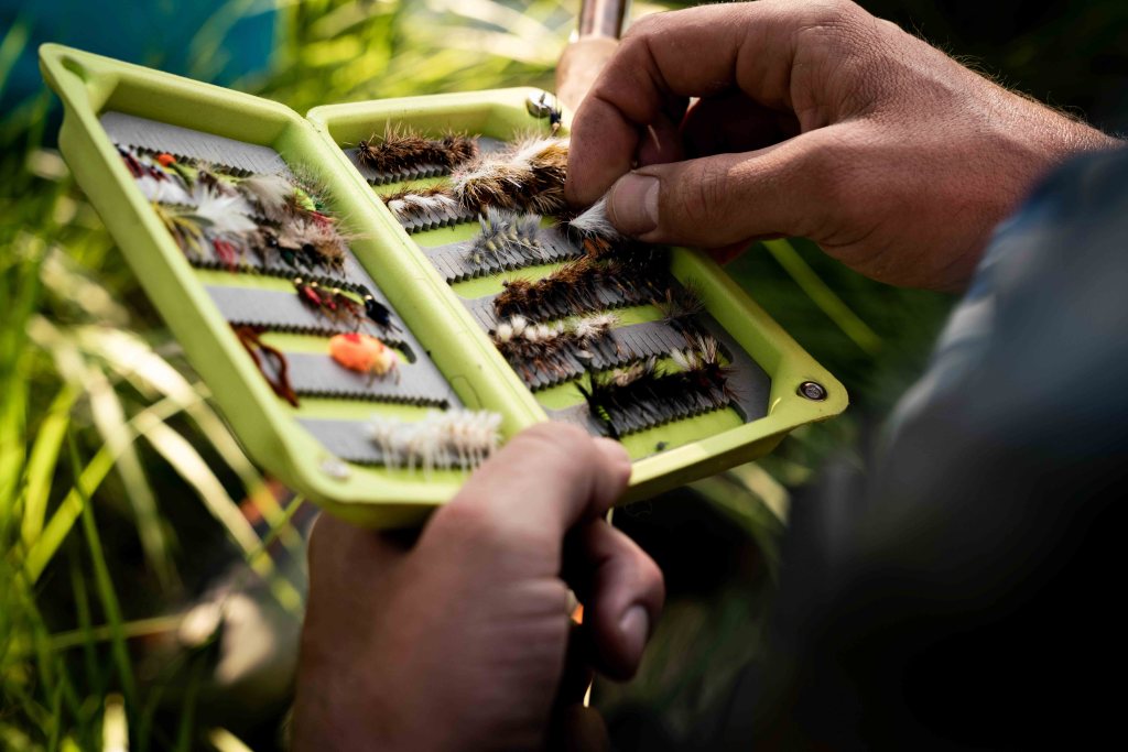 fly box with various hook sizes for trout fishing