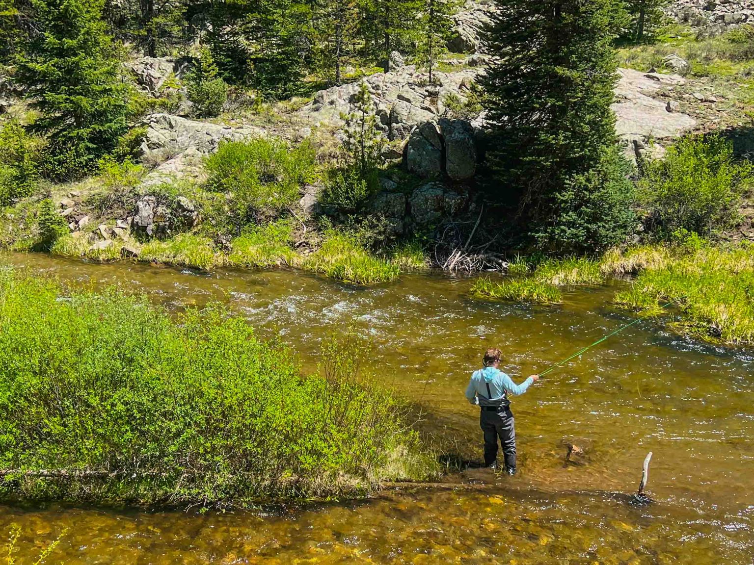 Spring Creek: Small Stream Fly Fishing Near Gunnison