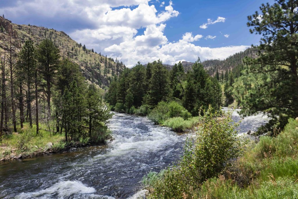 Poudre River Freestone downstream of Rustic