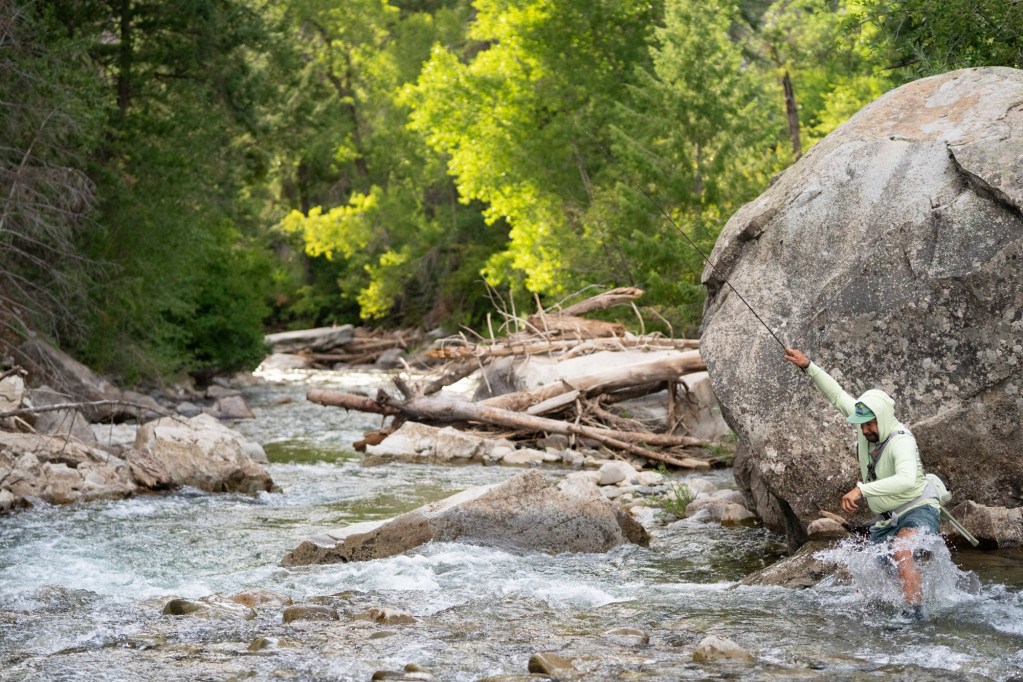 man wade fly fishing anthracite creek