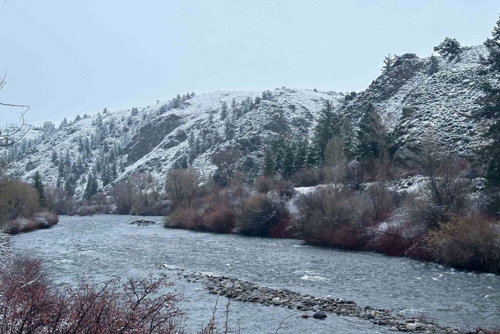 Gunnison River near Almont during snow storm May 2024